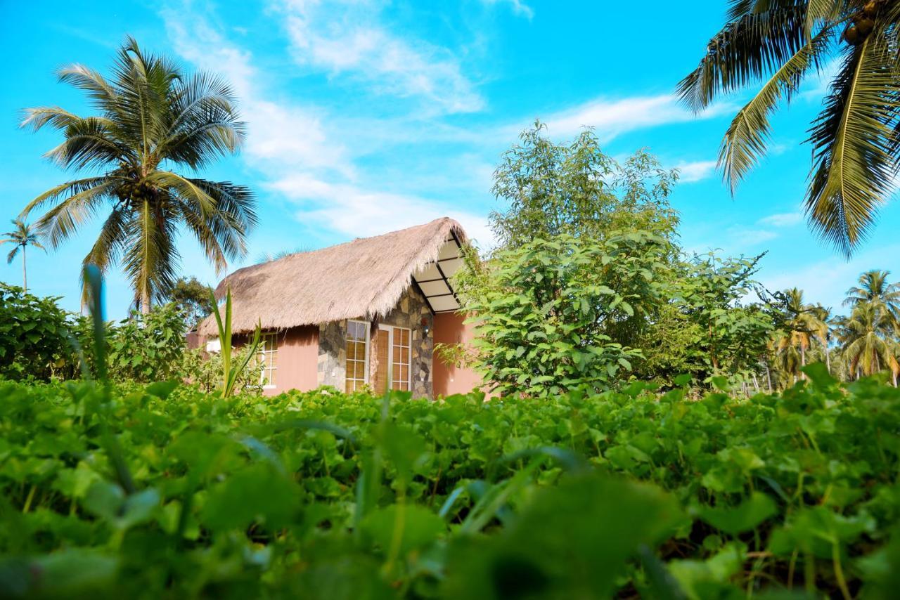 Coco Village Hotel Chilaw Bangadeniya Eksteriør bilde